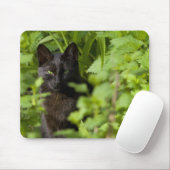 Schwarze Katze mousepad (Mit Mouse)