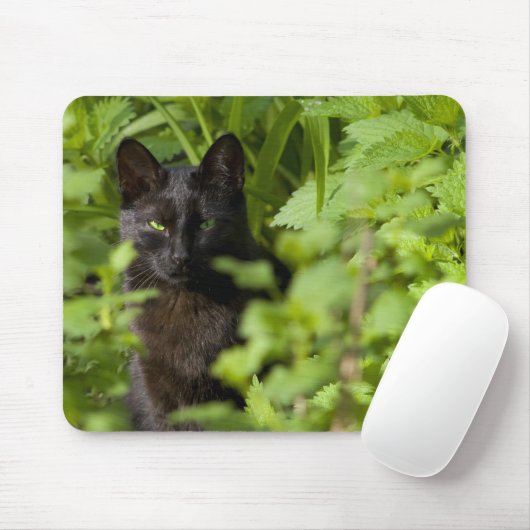 Schwarze Katze mousepad (Mit Mouse)