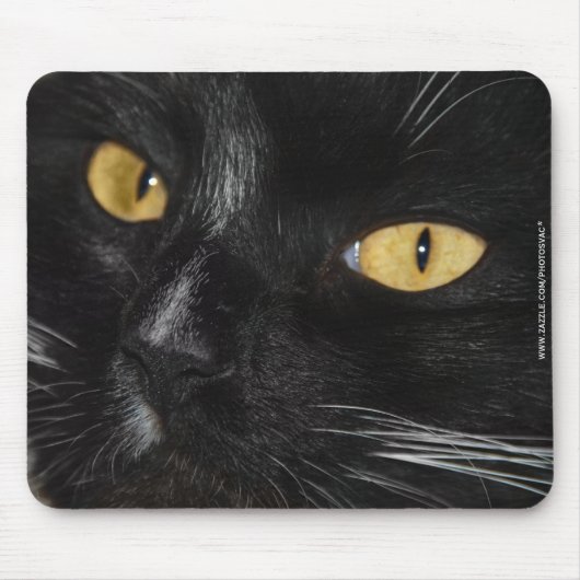Schwarze Katze Mousepad (Vorne)