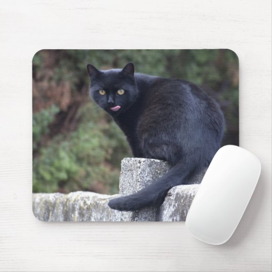 Schwarze Katze Mousepad (Mit Mouse)