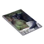 Schwarze Katze Notizblock (Rechte Seite)