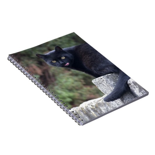 Schwarze Katze Notizblock (Rechte Seite)
