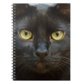 Schwarze Katze Notizblock (Vorderseite)