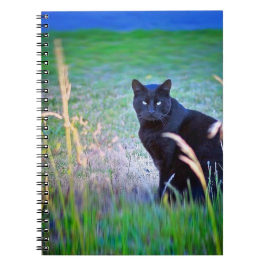 Schwarze Katze Notizblock (Vorderseite)