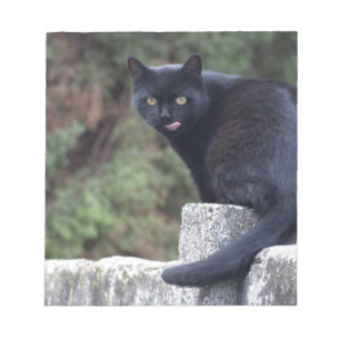 Schwarze Katze Notizblock