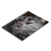 Schwarze Katze - oh kommen Sie ja sie erhalten Notizblock (Linke Seite)