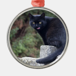 Schwarze Katze Ornament Aus Metall
