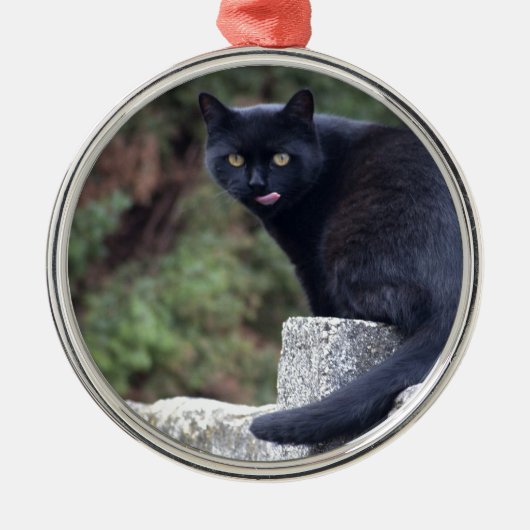 Schwarze Katze Ornament Aus Metall (Vorne)