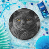 Schwarze Katze Pappteller (Party)