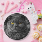Schwarze Katze Pappteller (Party)