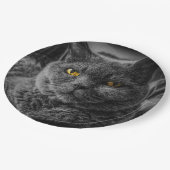 Schwarze Katze Pappteller (Schrägansicht)