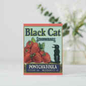 Schwarze Katze, Pontchatoula Erdbeeren Postkarte (Stehend Vorderseite)
