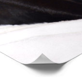 Schwarze Katze Poster (Ecke)