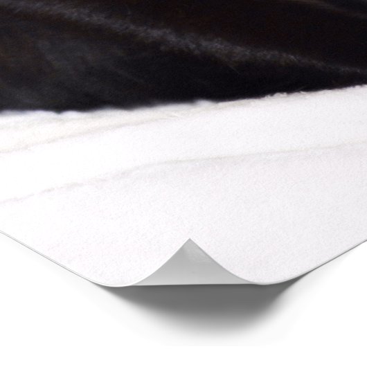 Schwarze Katze Poster (Ecke)