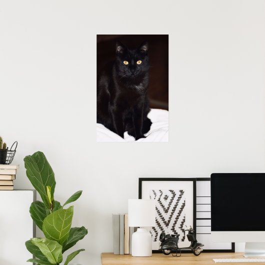 Schwarze Katze Poster (Heimbüro)