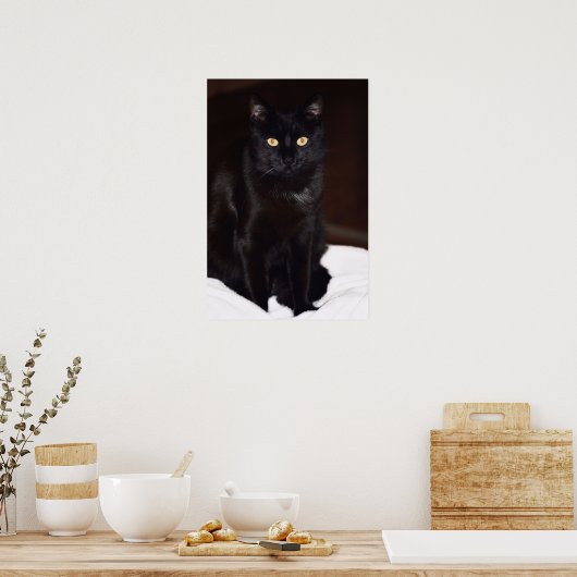 Schwarze Katze Poster (Küche)