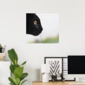 Schwarze Katze Poster (Heimbüro)