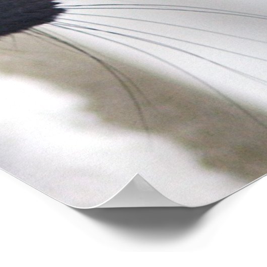 Schwarze Katze Poster (Ecke)