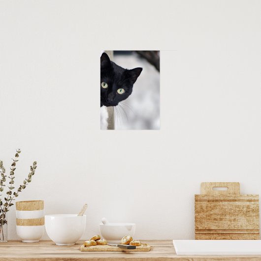 Schwarze Katze Poster (Küche)