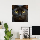 Schwarze Katze Poster (Heimbüro)