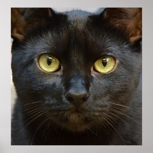 Schwarze Katze Poster (Vorne)