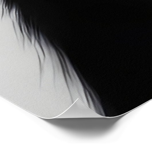 Schwarze Katze Poster (Ecke)