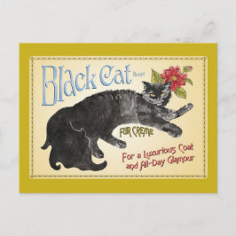 Schwarze Katze Postkarte