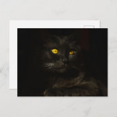 Schwarze Katze - Postkarte (Vorne/Hinten)