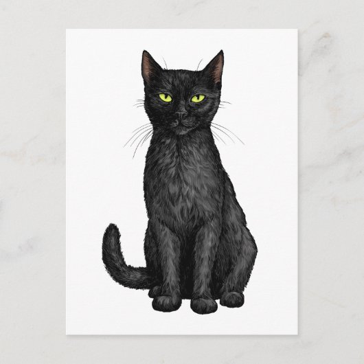 Schwarze Katze Postkarte (Vorderseite)