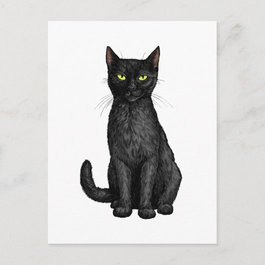 Schwarze Katze Postkarte (Vorderseite)
