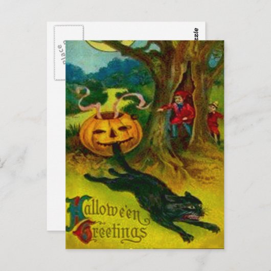 Schwarze Katze Postkarte (Vorne/Hinten)