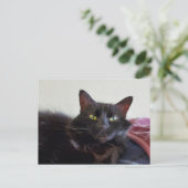 Schwarze Katze Postkarte (Stehend Vorderseite)