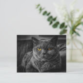 Schwarze Katze Postkarte (Stehend Vorderseite)