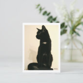 Schwarze Katze Postkarte (Stehend Vorderseite)