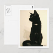 Schwarze Katze Postkarte (Vorne/Hinten)