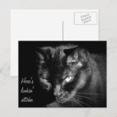 Schwarze Katze Postkarte (Vorne/Hinten)