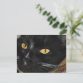 Schwarze Katze Postkarte (Stehend Vorderseite)