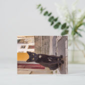 Schwarze Katze Postkarte (Stehend Vorderseite)