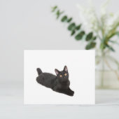 Schwarze Katze Postkarte (Stehend Vorderseite)