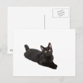 Schwarze Katze Postkarte (Vorne/Hinten)