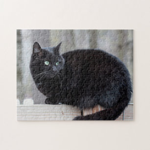 Schwarze Katze Puzzle
