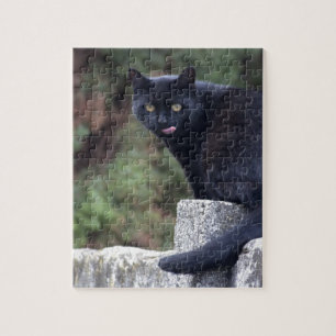 Schwarze Katze Puzzle
