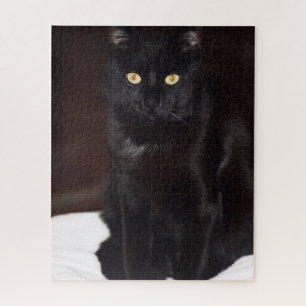 Schwarze Katze Puzzle