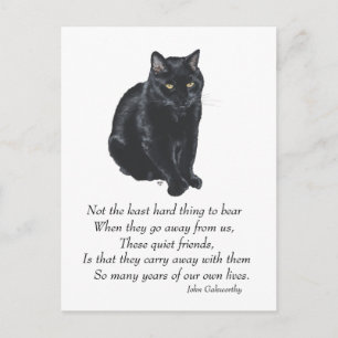 Schwarze Katze Regenbogenbrücke Postkarte