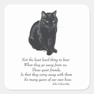 Schwarze Katze Regenbogenbrücke Quadratischer Aufkleber