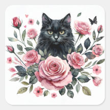 Schwarze Katze Rosen Farbe