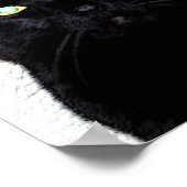 Schwarze Katze / Rot-Weiß-Blau Poster (Ecke)