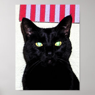 Schwarze Katze/rotes weißes Blau Poster