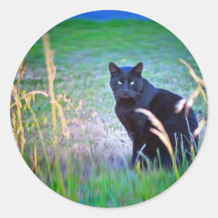 Schwarze Katze Runder Aufkleber