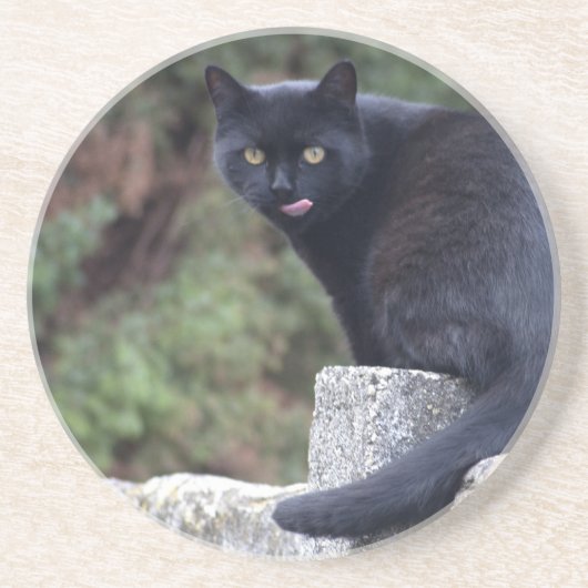 Schwarze Katze Sandstein Untersetzer (Vorne)